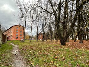 Ulitsa Pastorova, 3, Ivangorod: photo