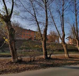 Tymiriazievska Street, 36, : foto