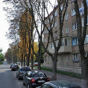 Saliutna Street, 11А, Kyiv: photo