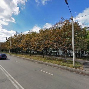 Prospekt Traktorobudivnykiv, 87, Kharkiv: photo