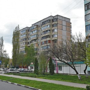 Королева 16 губкин карта