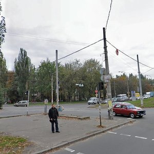 Vatslava Havela Boulevard, 53, Kyiv: photo