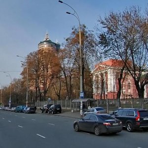 Lesi Ukrainky Boulevard, 25, : foto