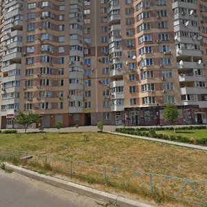 Oleny Pchilky Street, 2, Kyiv: photo