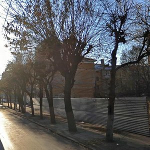 Svobody Street, 24А, Ryazan: photo