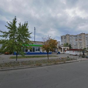 Budyschanska Street, 7, Kyiv: photo