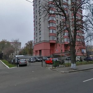 Mykoly Holeho Street, 6, Kyiv: photo