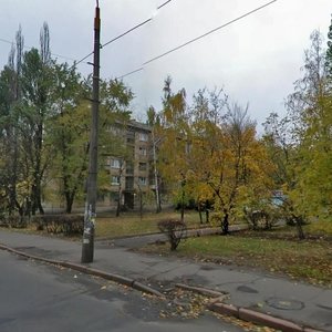 Prazka Street, 6, Kyiv: photo