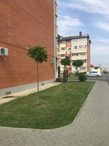 Turgenevskoye Shosse Street, 33/1к1, : foto