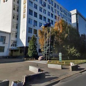 Mezhihirska Street, 83, Kyiv: photo