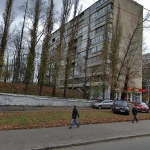 Druzhby Narodiv Boulevard, 3А ، كييف: صورة