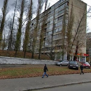 Druzhby Narodiv Boulevard, 3А, Kyiv: photo