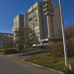 Lermontova Street, 151, : foto