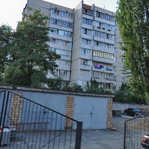 Dmytra Lutsenka Street, 1, Kyiv: photo