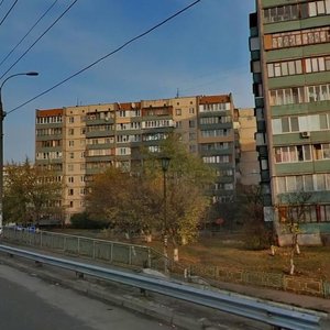 Heroiv Stalinhrada Avenue, 40 ، كييف: صورة