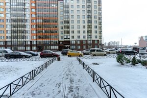 Veteranov Avenue, 175к4, Saint Petersburg: photo