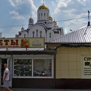 Воронеж, Улица Владимира Невского, 48/1к1: фото