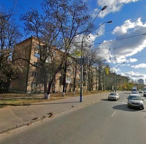 Oleksandra Dovzhenka Street, 12, Kyiv: photo