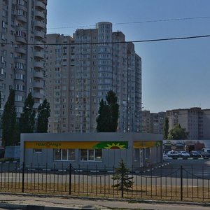 Patriotov Avenue, 1А, Voronezh: photo