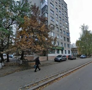 Киев, Волынская улица, 25: фото