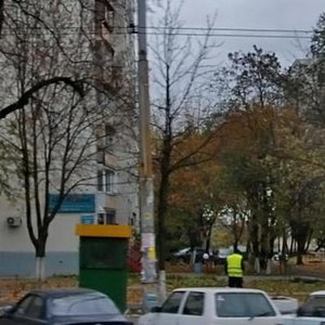 Mytropolyta Vasylia Lypkivskoho Street, 26, : foto
