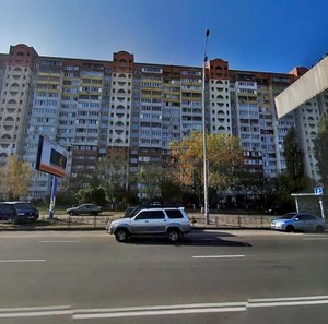 Teodora Draizera Street, 9, Kyiv: photo
