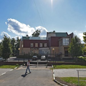 Molodyozhnaya Street, 50, Odincovo: photo