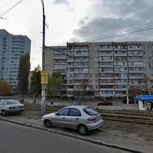 Heroiv Dnipra Street, 29, Kyiv: photo