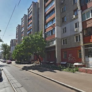 Mezhihirska Street, 25, Kyiv: photo