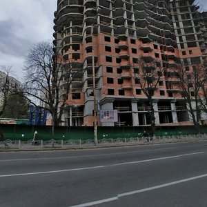 Mytropolyta Vasylia Lypkivskoho Street, 18, Kyiv: photo