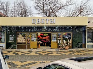 Turgeneva Street, 104, Krasnodar: photo