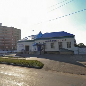 Khabarovskaya ulitsa, 113/1, Orenburg: photo