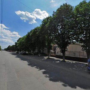 Кропивницкий, Улица Волкова, 13В: фото