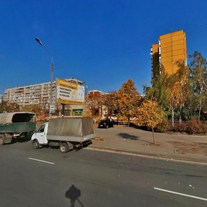 Serzha Lyfaria Street, 2/51, Kyiv: photo