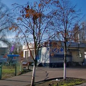 Dehtiarivska Street, 32Б, : foto