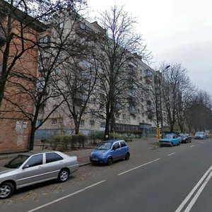 Heroiv Sevastopolia Street, 22, Kyiv: photo