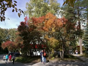 Tereshkovoy Street, 12, : foto