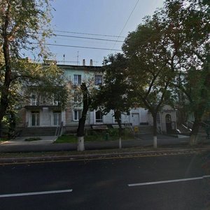 Kabanbai Batyr Street, 142, Almaty: photo