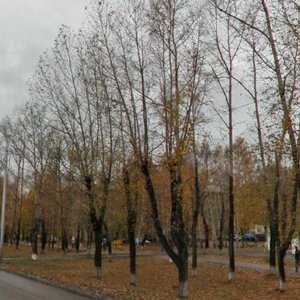 Pervomayskaya Street, 204 ، نوفوسيبيرسك: صورة