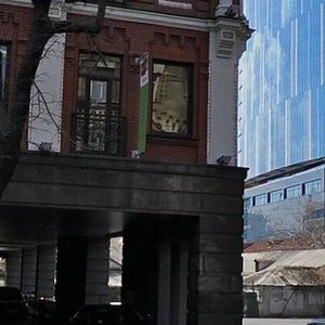 Lva Tolstoho Street, 55А, Kyiv: photo