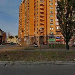 Киев, Проспект Героев Сталинграда, 8к4: фото