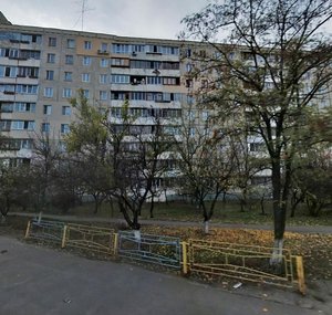 Pryrichna Street, 17, Kyiv: photo