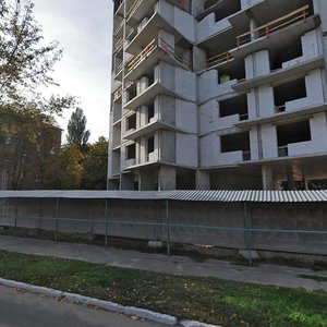 Yanusha Korchaka Street, 25, Kyiv: photo