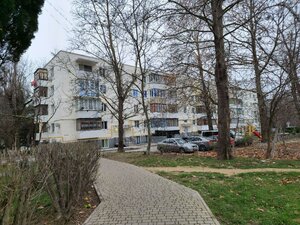 Menzhinskogo Street, 31, Inkerman: photo
