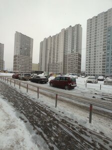 Murinskaya Road, 10к1 ، سان بطرسبرغ: صورة
