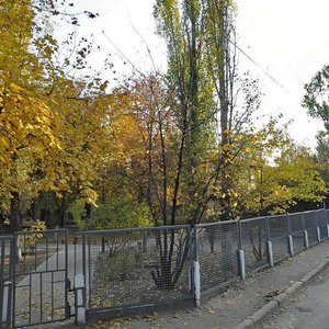 Patriotychna vulytsia, 78А, Zaporizhia: photo