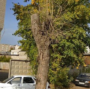 Volodarskogo Street, 217, : foto