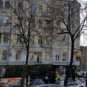 Shota Rustaveli Street, 1, Kyiv: photo