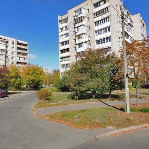 Hryhorovycha-Barskoho Street, 9/14, Kyiv: photo