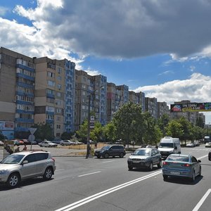 Volodymyra Maiakovskoho Avenue, 20, Kyiv: photo